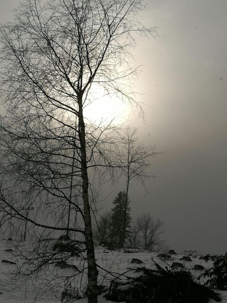 Penzion Pohlednicka Hotel Benecko Buitenkant foto