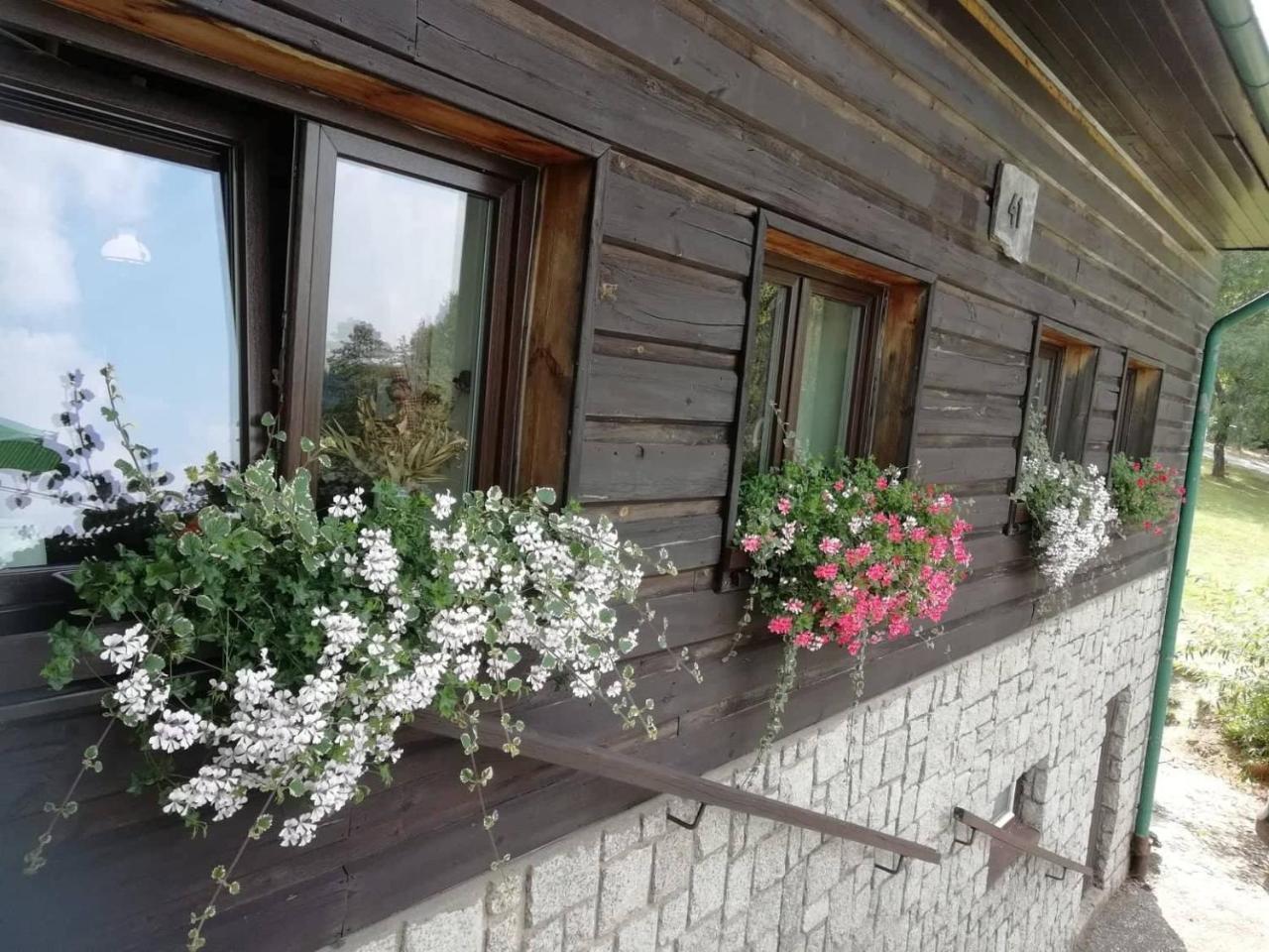 Penzion Pohlednicka Hotel Benecko Buitenkant foto